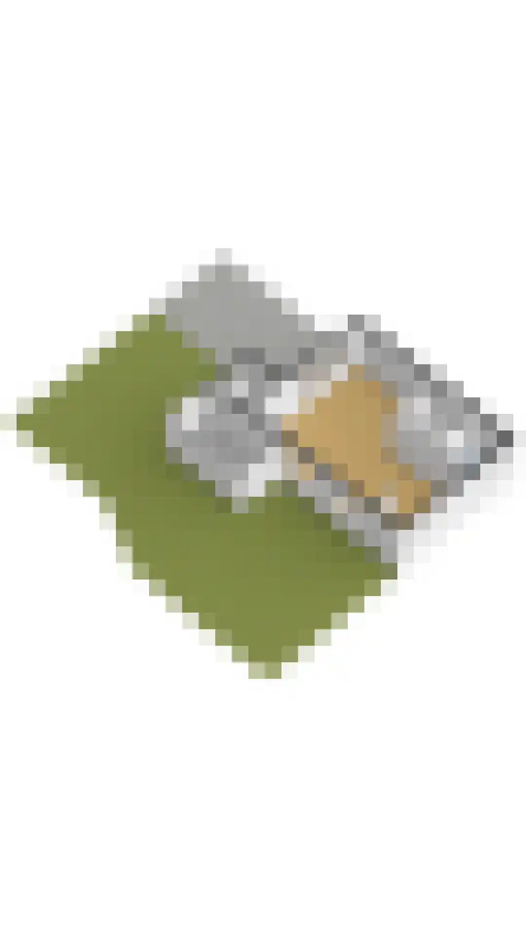 Rozentuin 94 Voorburg thumbnail 43