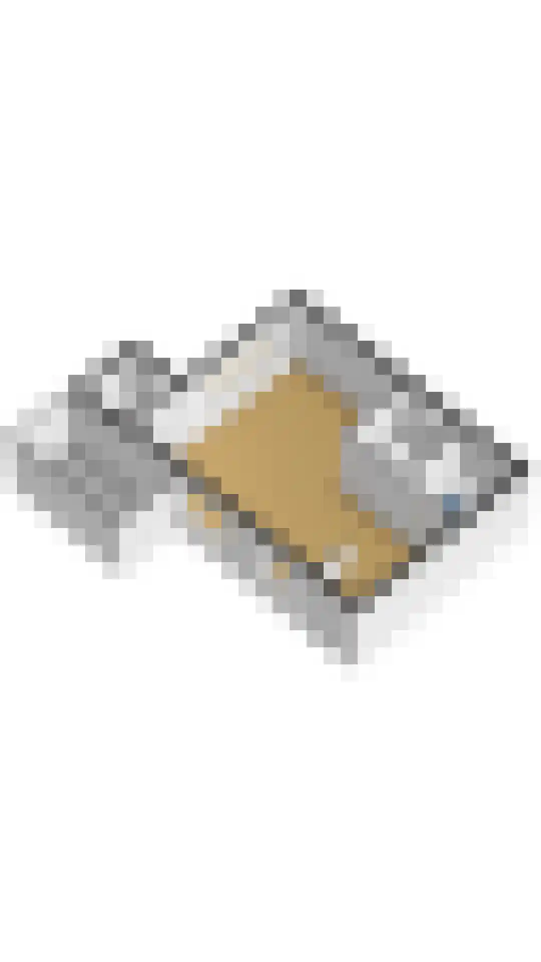 Rozentuin 94 Voorburg thumbnail 44