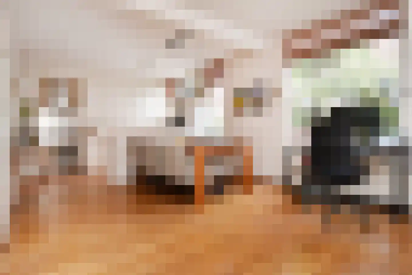 Rozentuin 94 Voorburg thumbnail 6