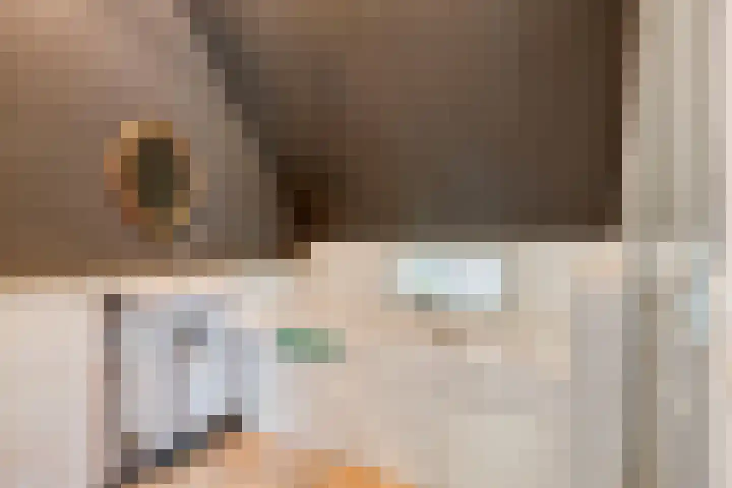 Rozenvoorderdijk 4 a Olst thumbnail 10