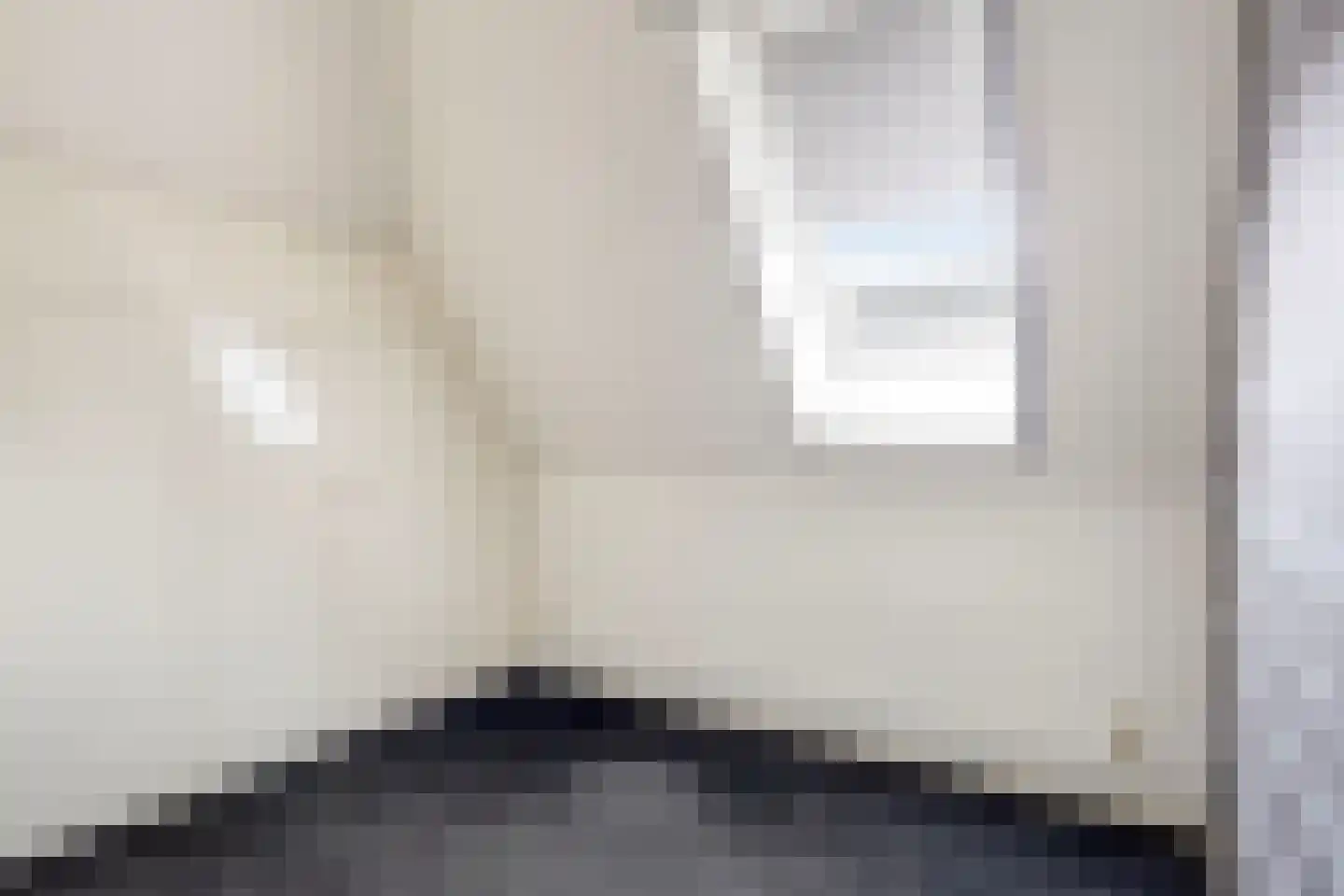 Rozenvoorderdijk 4 a Olst thumbnail 13