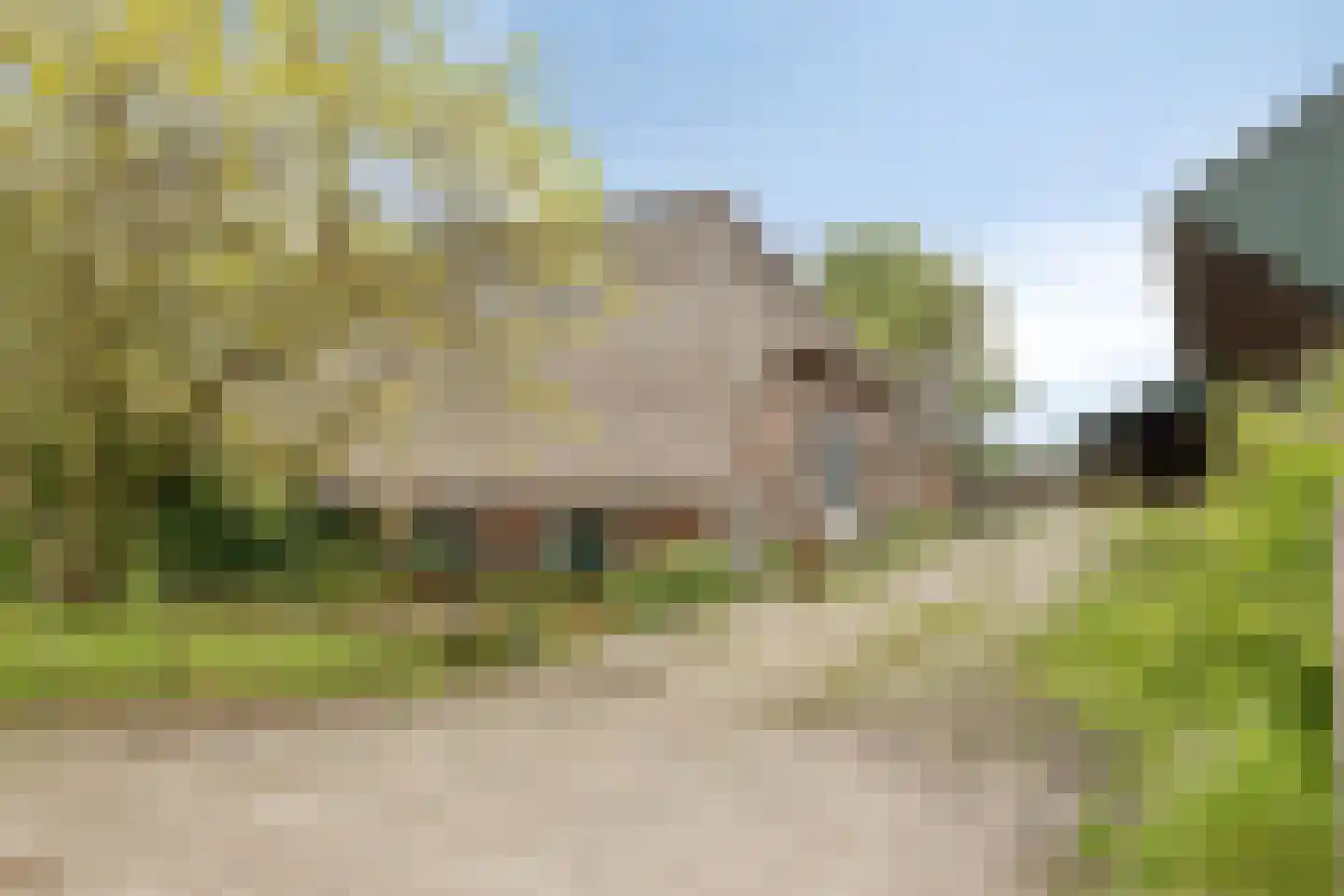 Rozenvoorderdijk 4 a Olst thumbnail 18
