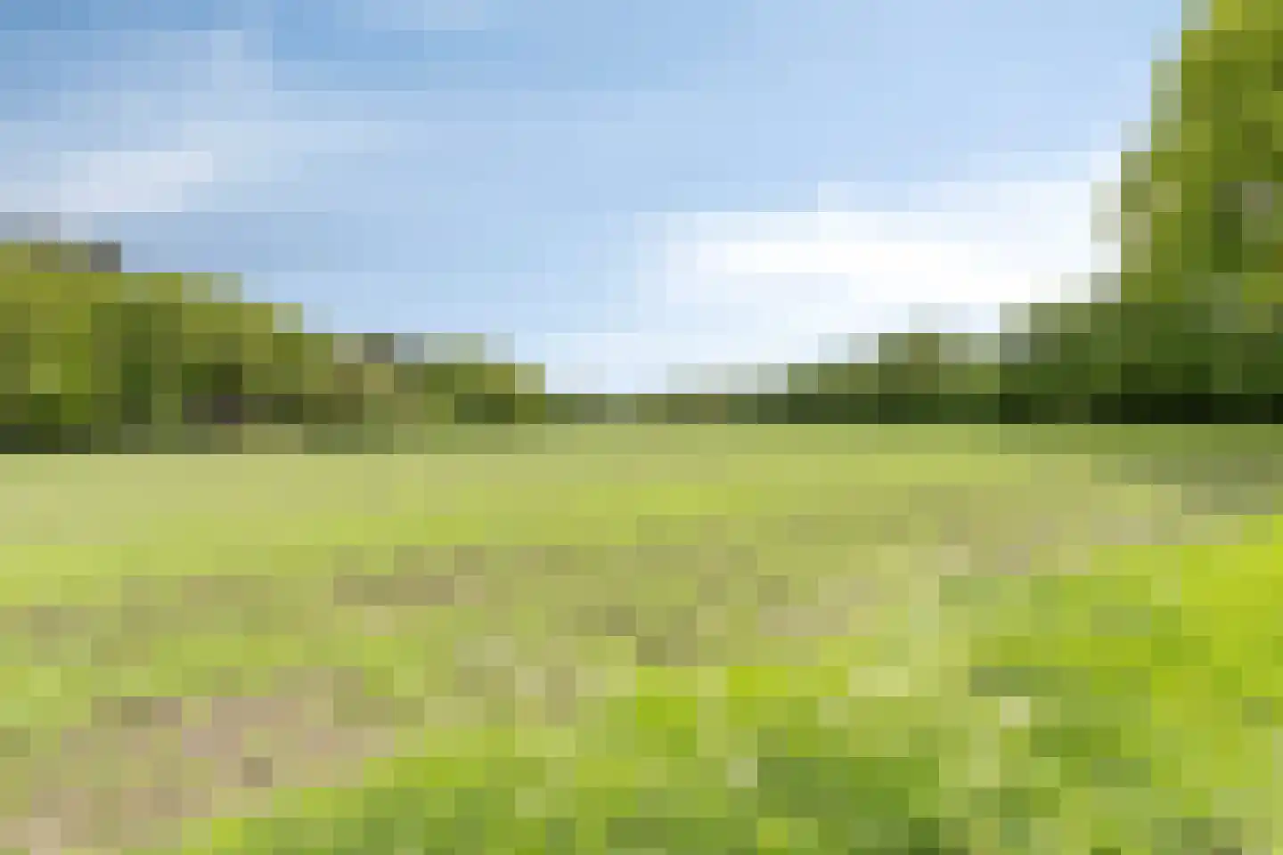 Rozenvoorderdijk 4 a Olst thumbnail 23