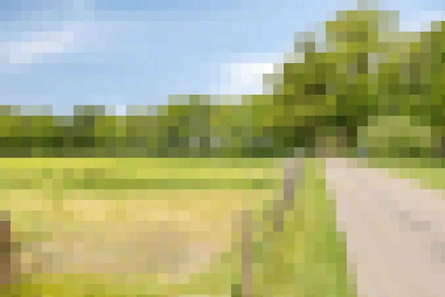 Rozenvoorderdijk 4 a Olst thumbnail 24