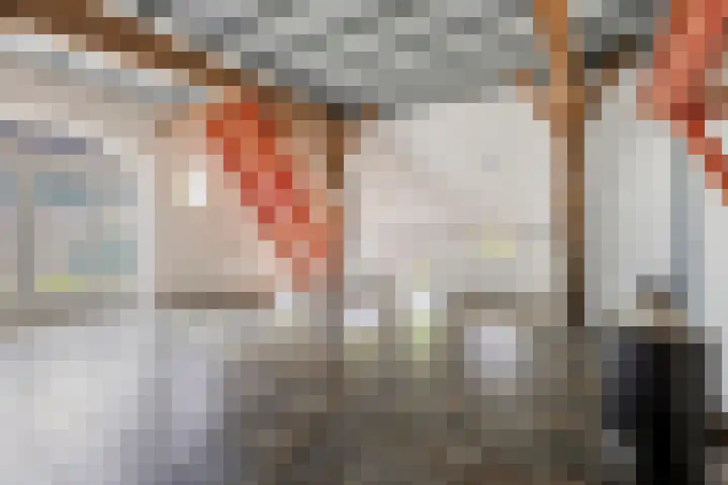 Rozenvoorderdijk 4 a Olst thumbnail 5