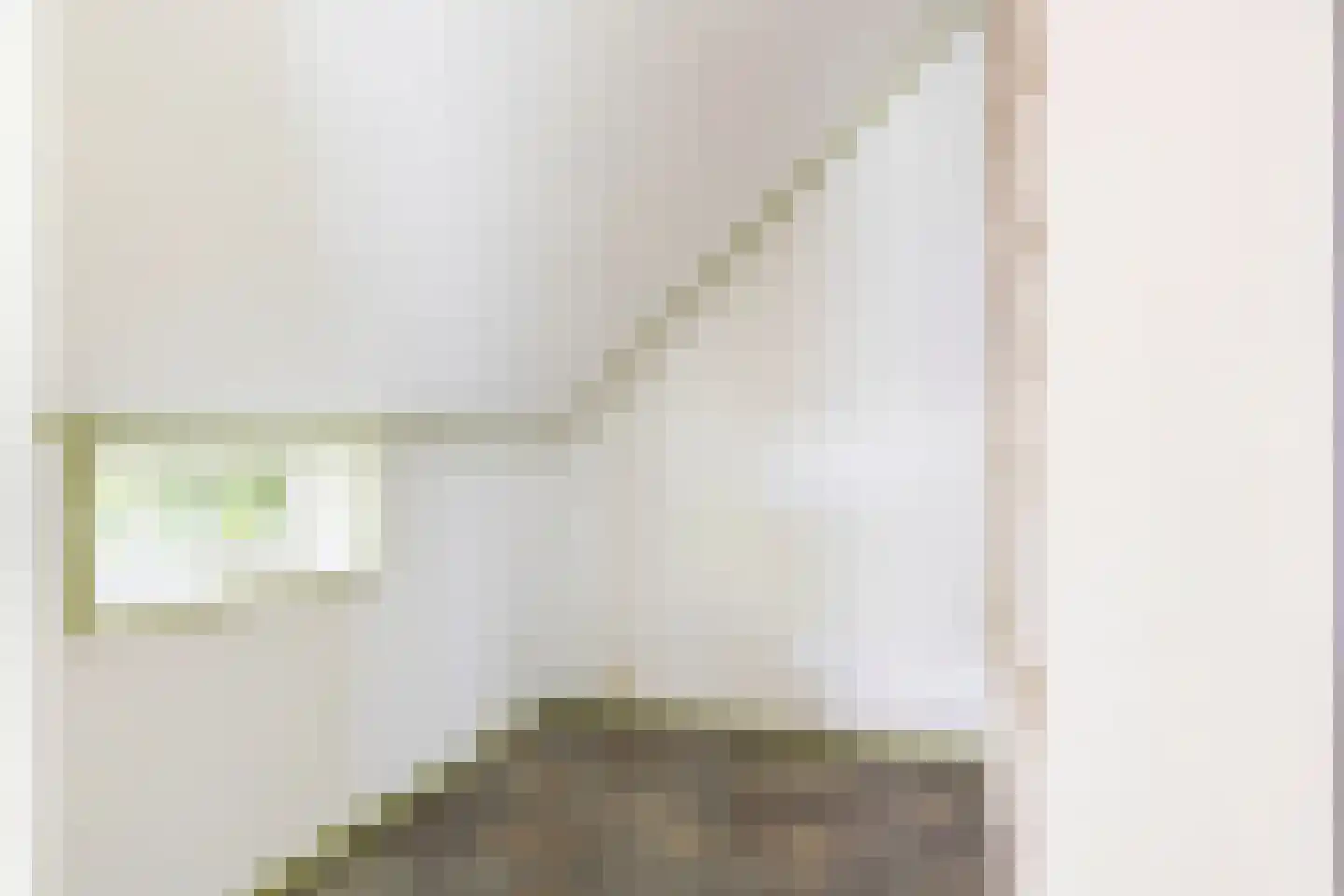 Rozenvoorderdijk 4 a Olst thumbnail 9