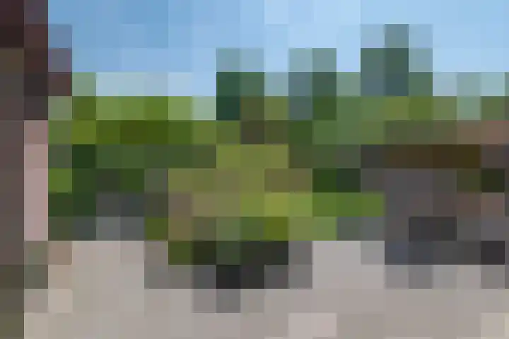 Rozenwater 15 Zoetermeer thumbnail 14