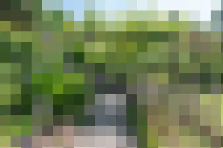 Rozenwater 15 Zoetermeer thumbnail 16