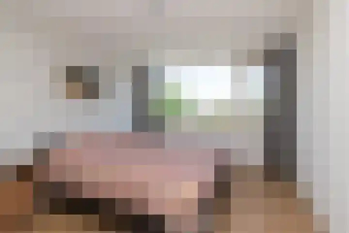 Rozenwater 15 Zoetermeer thumbnail 20
