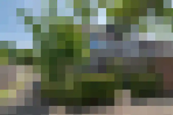 Rozenwater 15 Zoetermeer thumbnail 34
