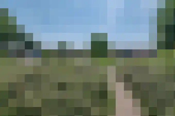Rozenwater 15 Zoetermeer thumbnail 35