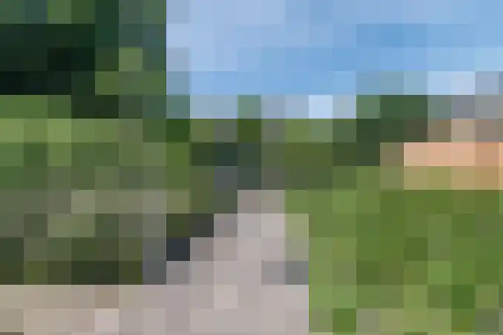 Rozenwater 15 Zoetermeer thumbnail 36
