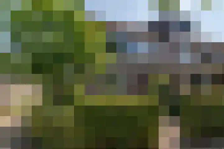 Rozenwater 15 Zoetermeer thumbnail 45
