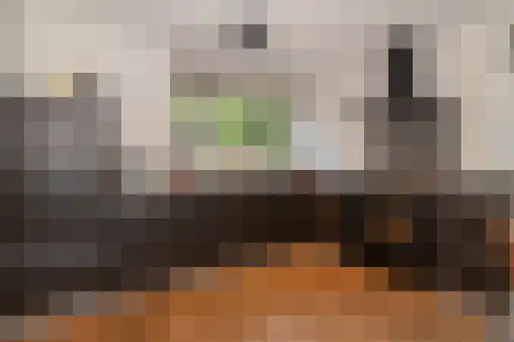 Rozenwater 15 Zoetermeer thumbnail 8