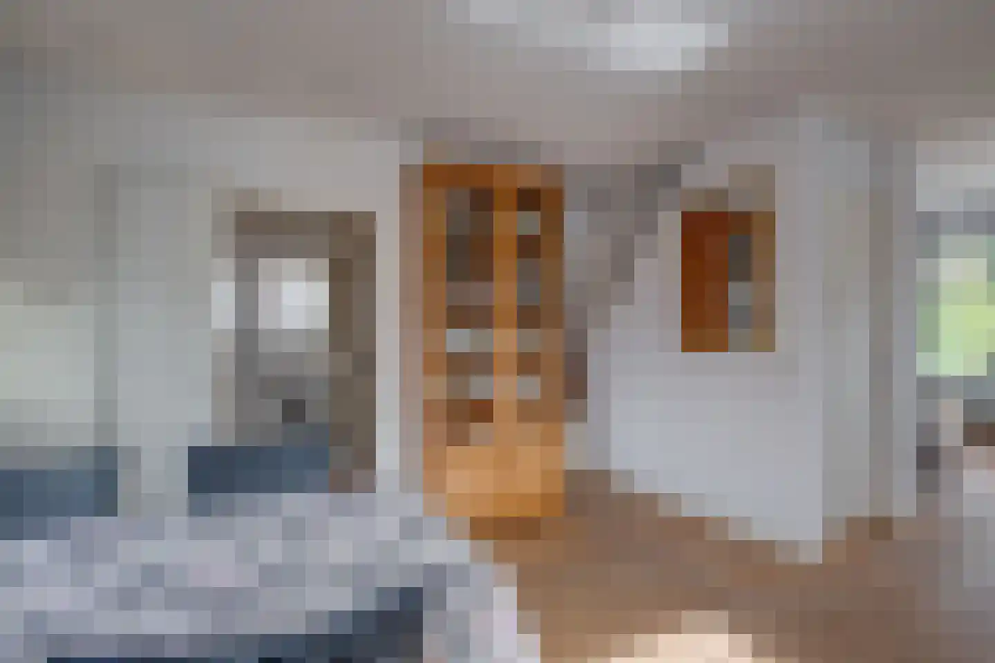 Rozenweg 35 Lochem thumbnail 10