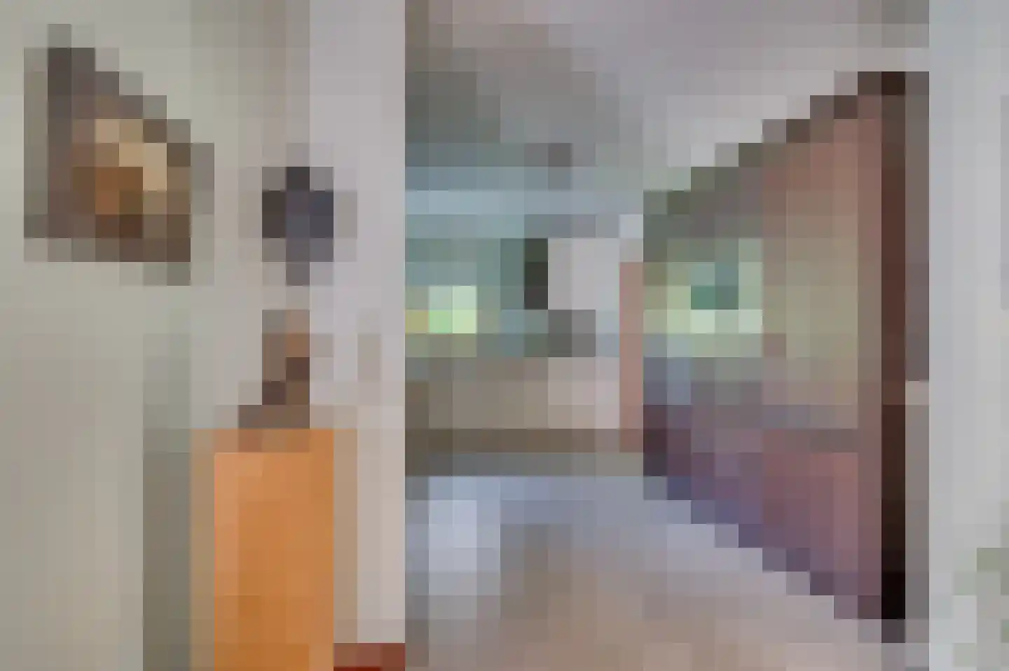 Rozenweg 7 Venlo thumbnail 17