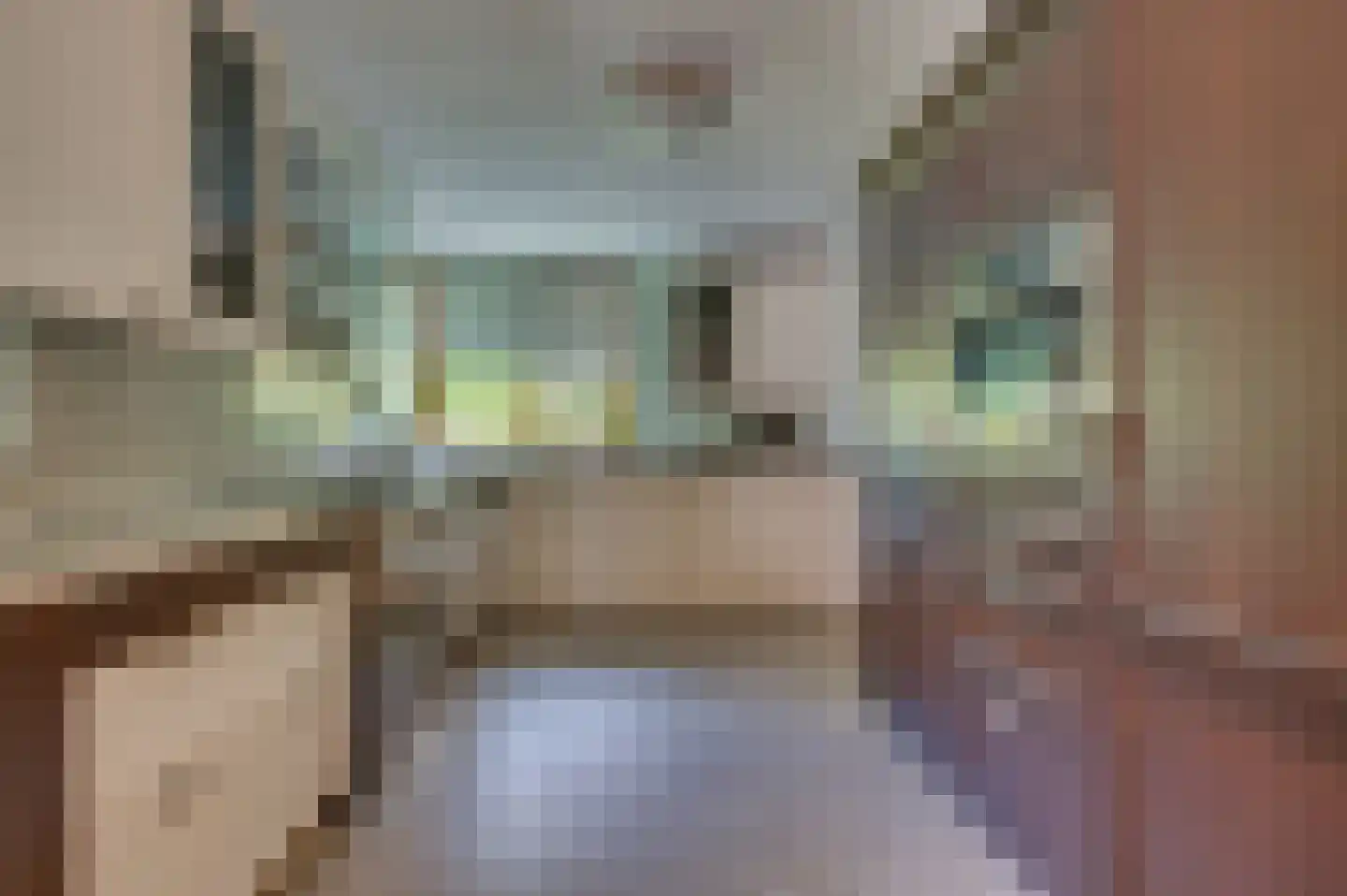 Rozenweg 7 Venlo thumbnail 18