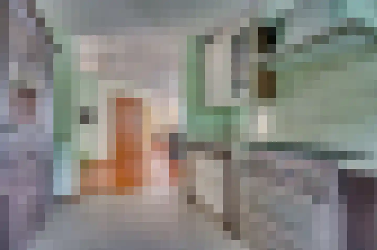 Rozenweg 7 Venlo thumbnail 21