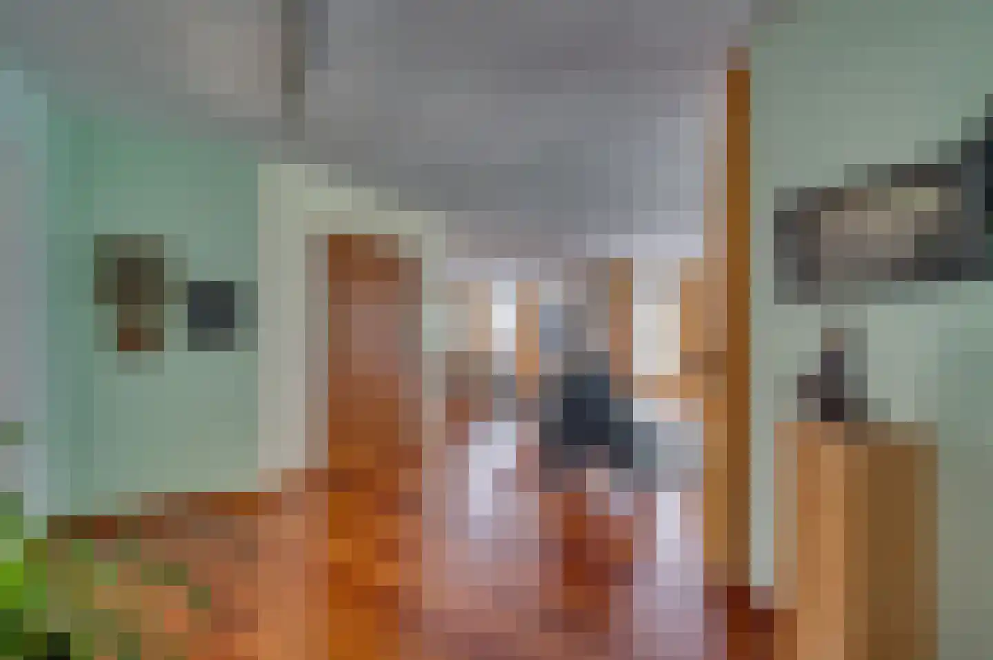 Rozenweg 7 Venlo thumbnail 22