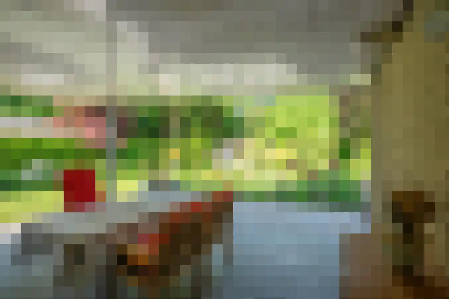 Rozenweg 7 Venlo thumbnail 48