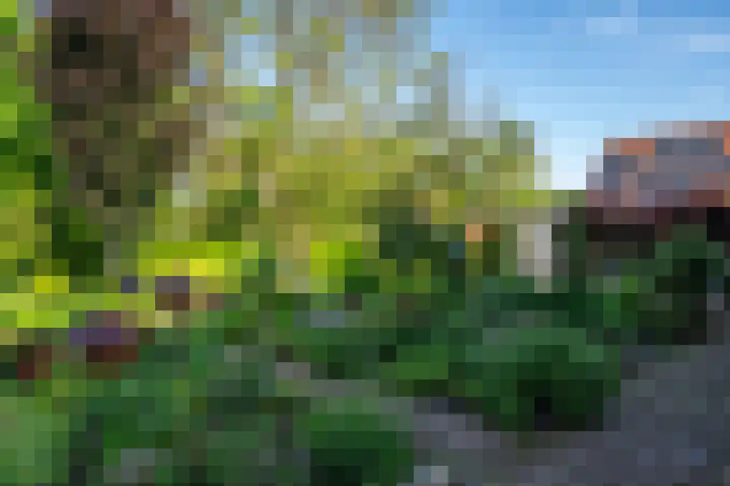 Rozenweg 7 Venlo thumbnail 52