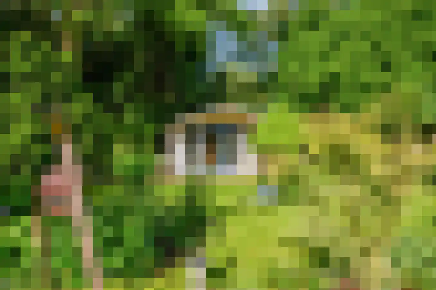 Rozenweg 7 Venlo thumbnail 53