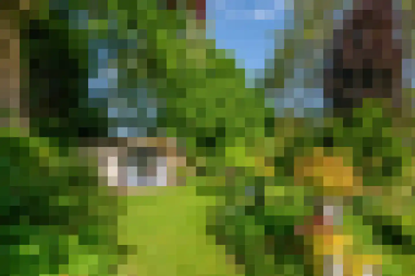 Rozenweg 7 Venlo thumbnail 54