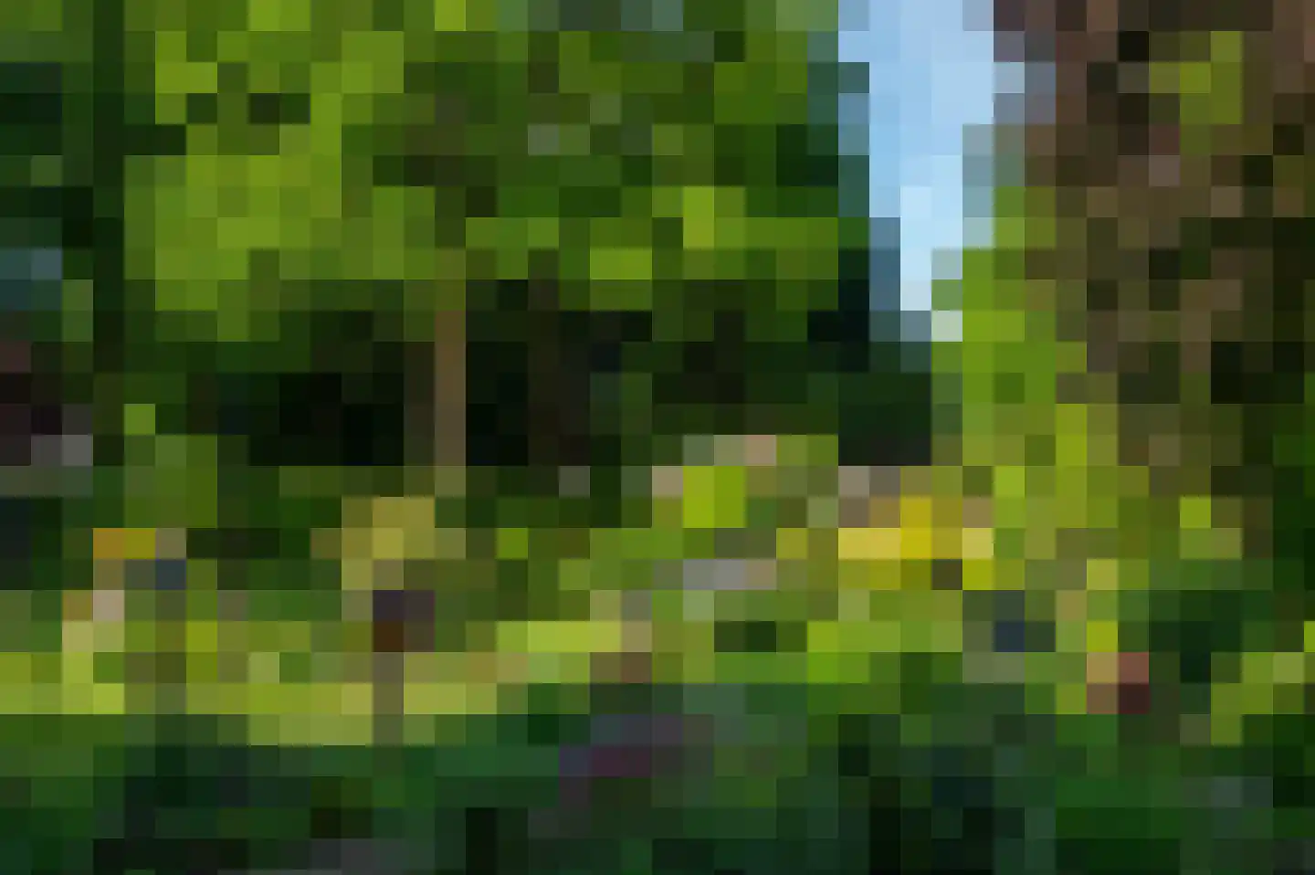 Rozenweg 7 Venlo thumbnail 56