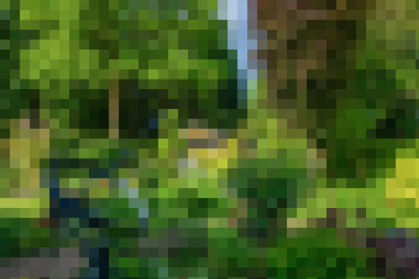 Rozenweg 7 Venlo thumbnail 57