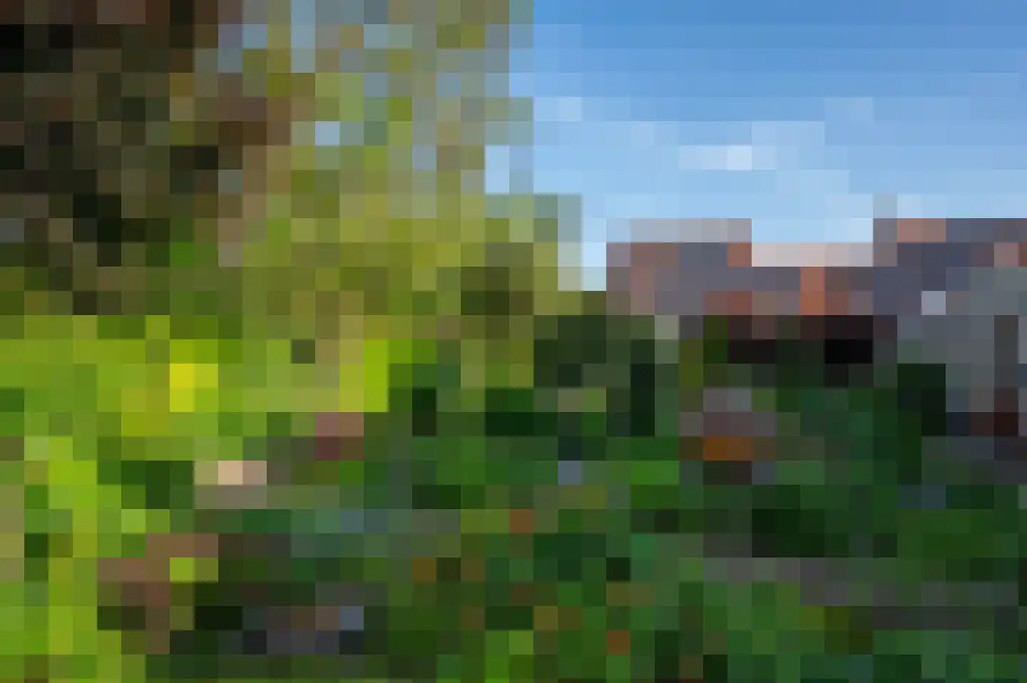 Rozenweg 7 Venlo thumbnail 58