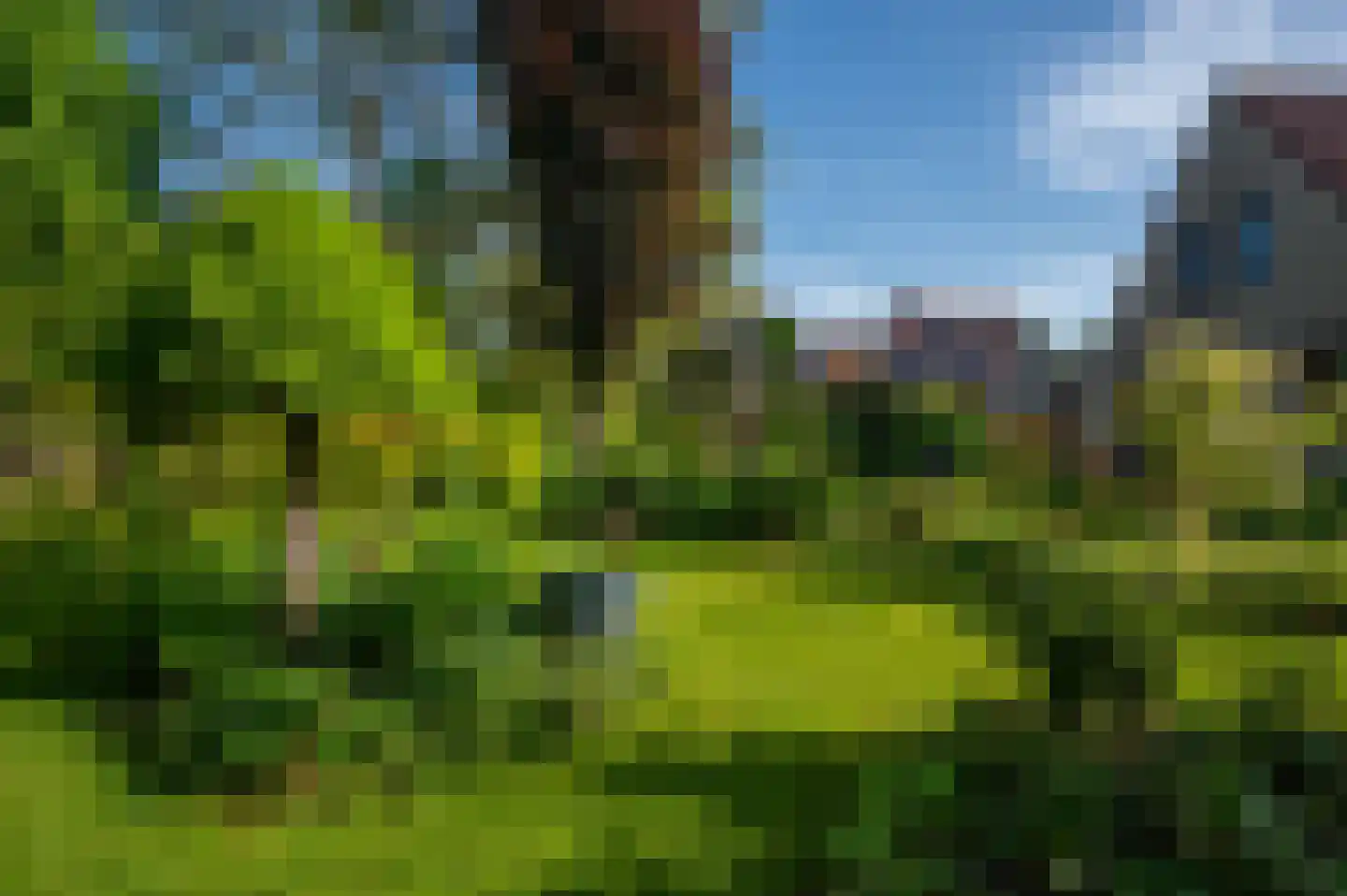 Rozenweg 7 Venlo thumbnail 59