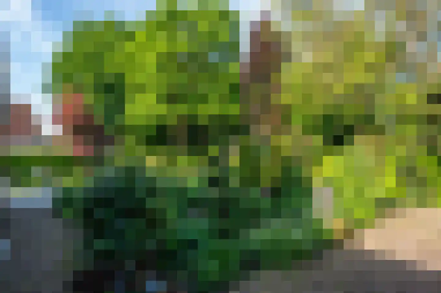 Rozenweg 7 Venlo thumbnail 60