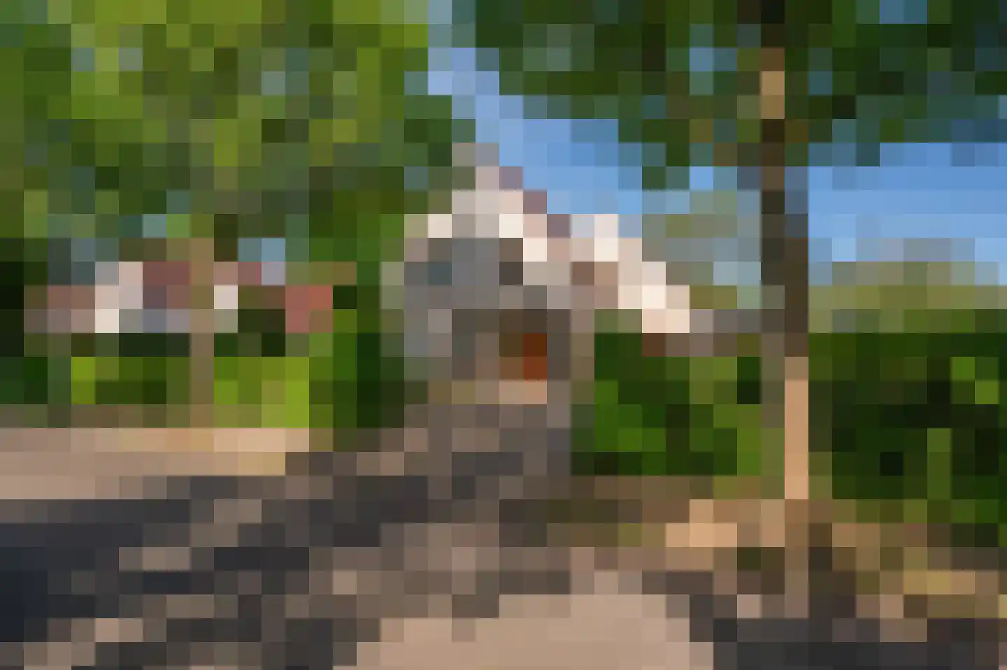 Rozenweg 7 Venlo thumbnail 71