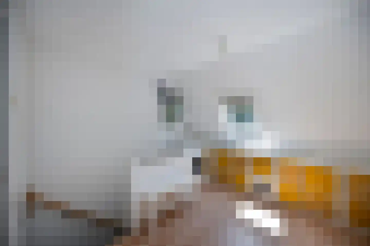 Rozenwerf 102 Almere thumbnail 20