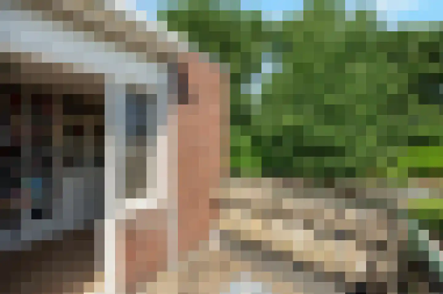 Rozenwerf 102 Almere thumbnail 27