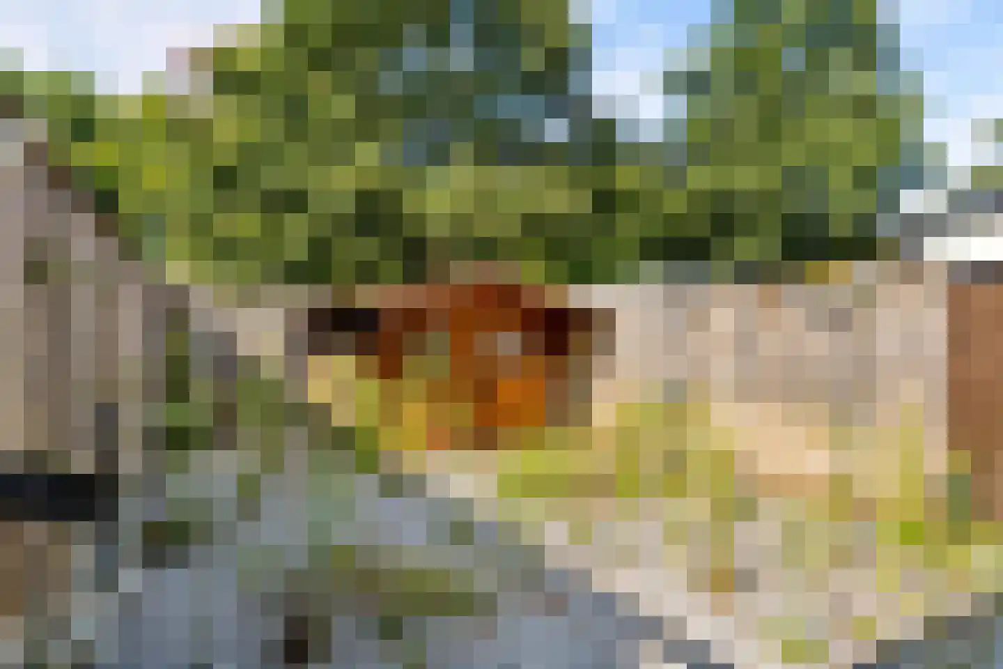 Rozenwerf 13 Almere thumbnail 36