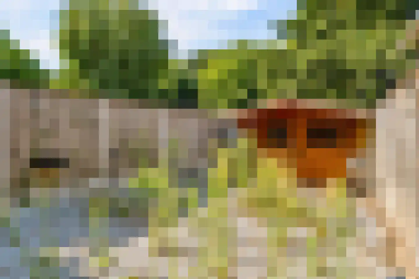 Rozenwerf 13 Almere thumbnail 38