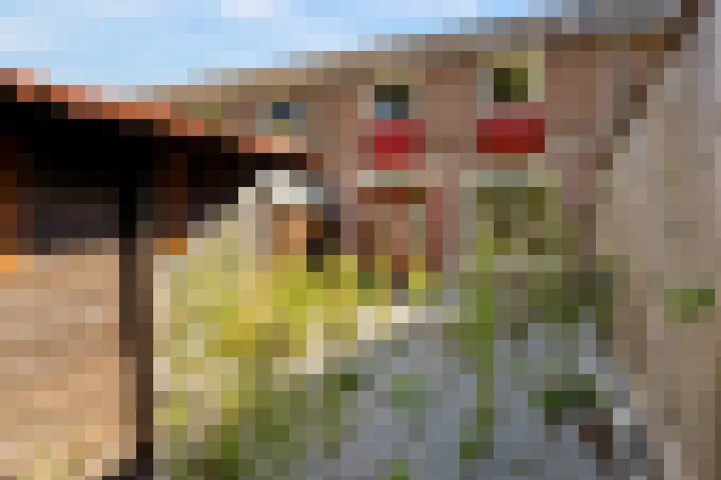 Rozenwerf 13 Almere thumbnail 39