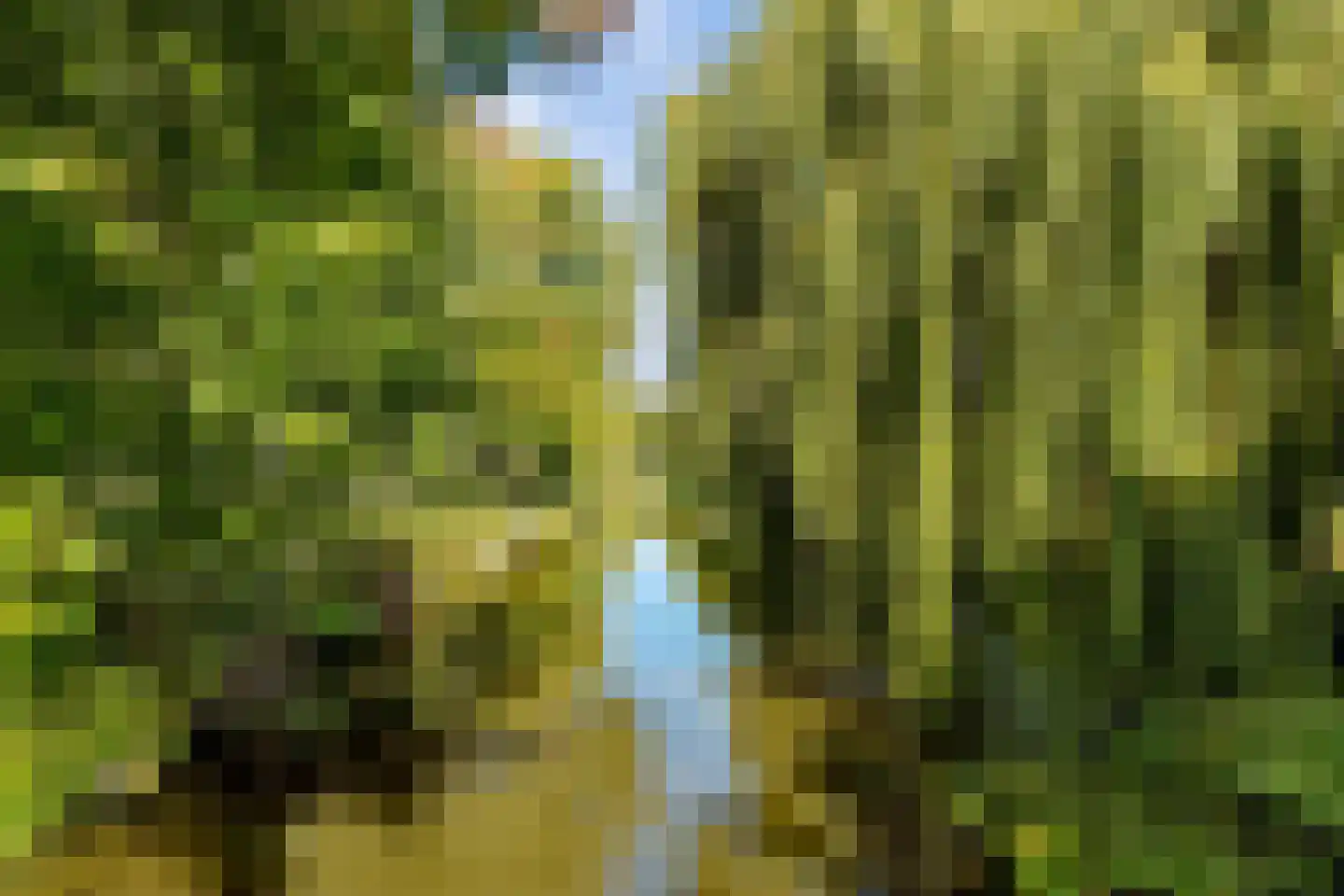 Rozenwerf 13 Almere thumbnail 51