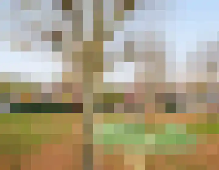 Rozenwerf 178 Almere thumbnail 22