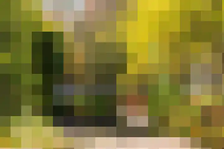 Rozenwerf 178 Almere thumbnail 31