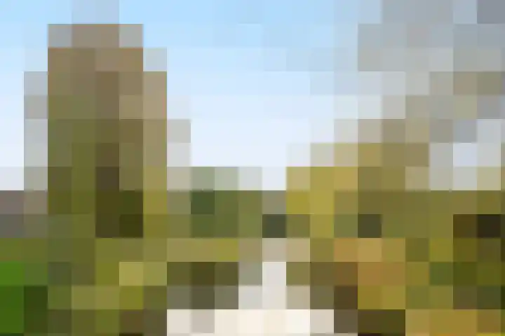 Rozenwerf 178 Almere thumbnail 4