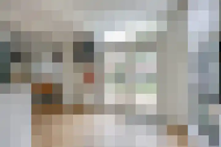 Rozenwerf 26 Almere thumbnail 12