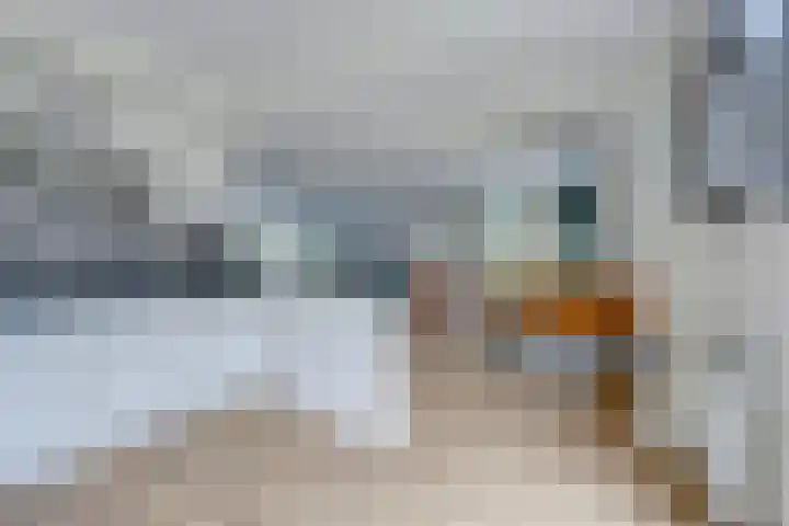 Rozenwerf 26 Almere thumbnail 13