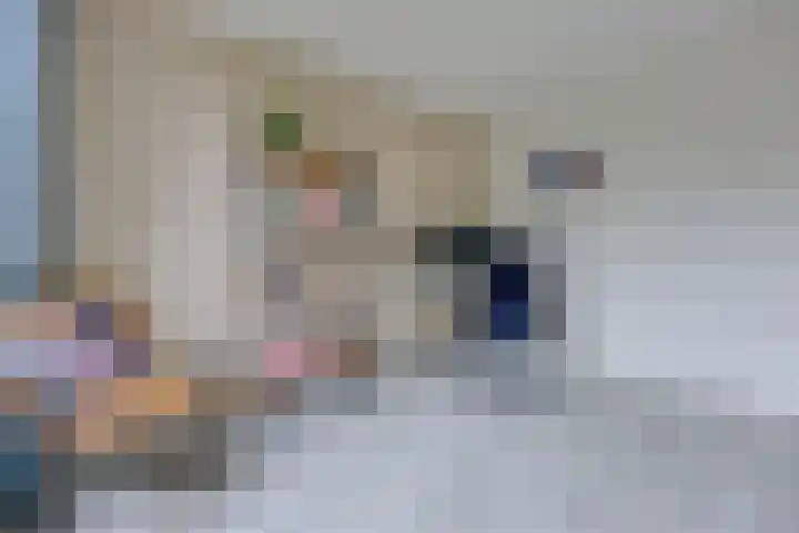 Rozenwerf 26 Almere thumbnail 25