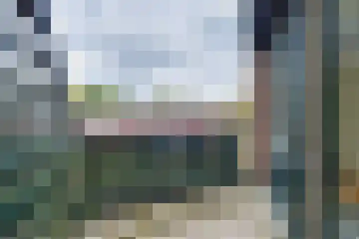 Rozenwerf 26 Almere thumbnail 26