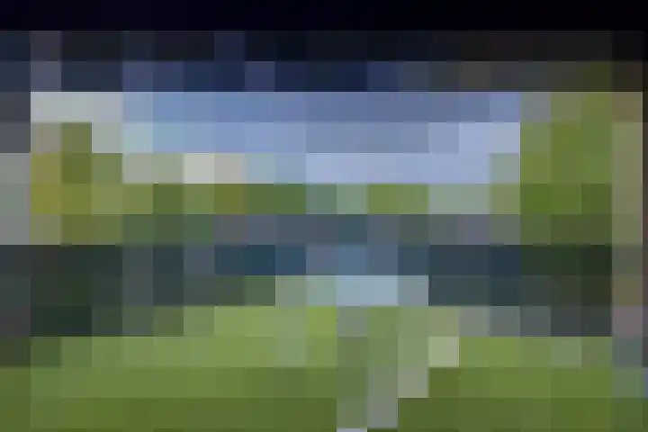 Rozenwerf 26 Almere thumbnail 31