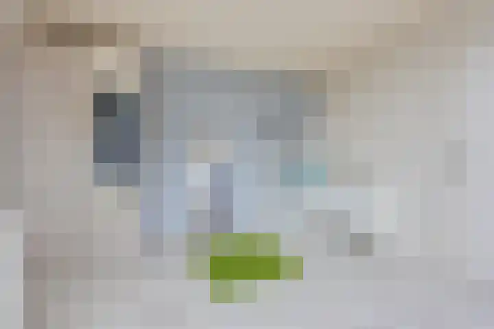 Rozenwerf 26 Almere thumbnail 33