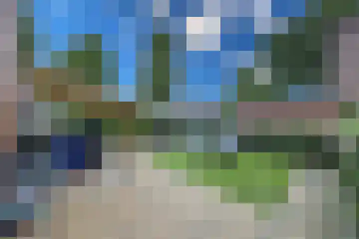Rozenwerf 26 Almere thumbnail 42