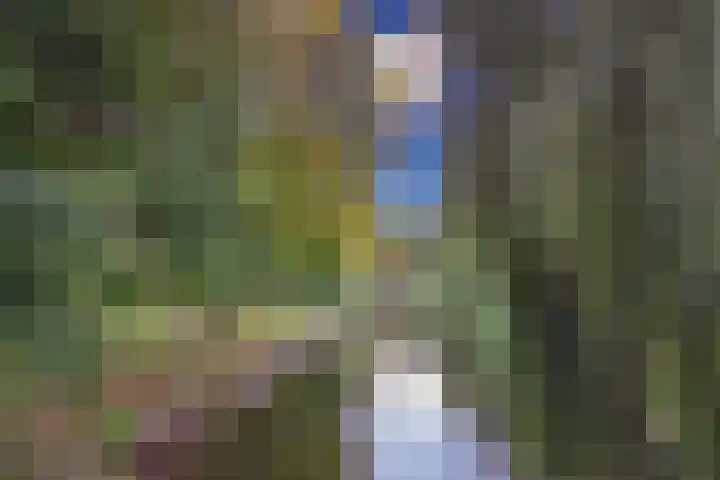Rozenwerf 26 Almere thumbnail 47